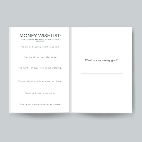 Money Manifest| 90 Day Money Journal